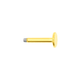 Chirurgisch Stalen Labret Stud Goud