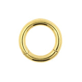 Chirurgisch Stalen Click Ring Goud