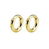 Chirurgisch Staal Click Hoop Oorbellen Goud