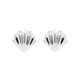 925 Zilver Oorstekers - Shell Zilver