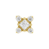 Nikkelvrij Stalen Square Cluster Attachment - Goud
