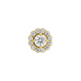 Nickel-Free Stainless Steel - Zirconia Large Disc - Gold