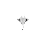 Surgical Steel Ray Top - Silver