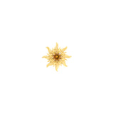 Chirurgisch Stalen Zon Top - Goud