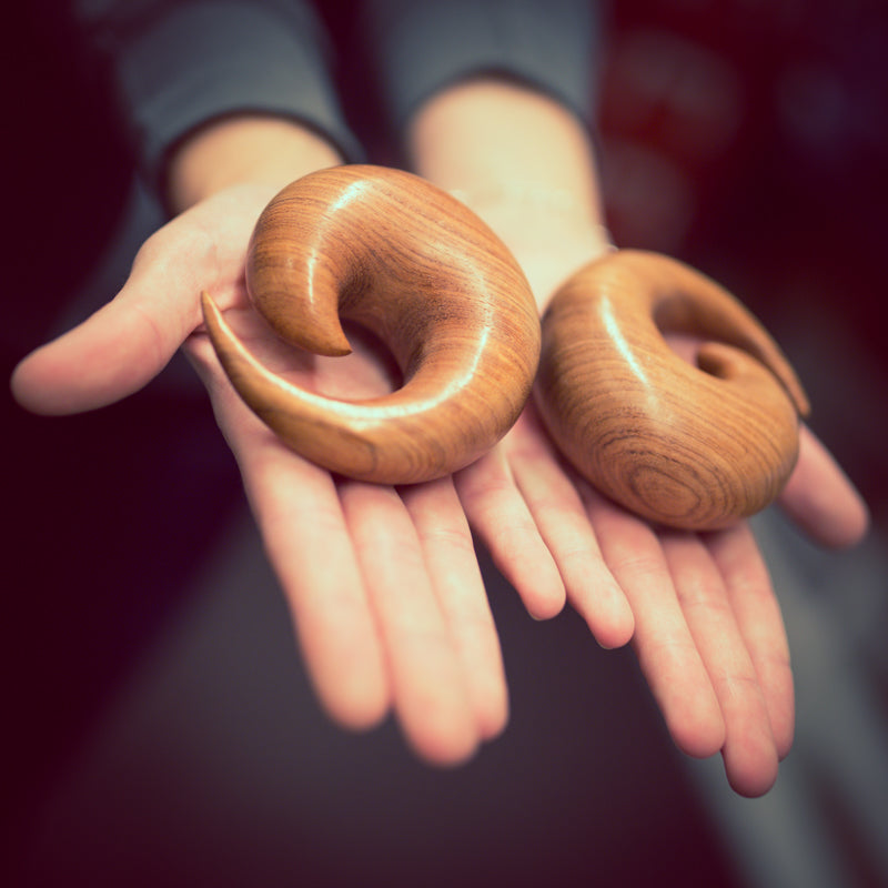 Nature's Finest: Wooden Plugs, Tunnels and Hangers