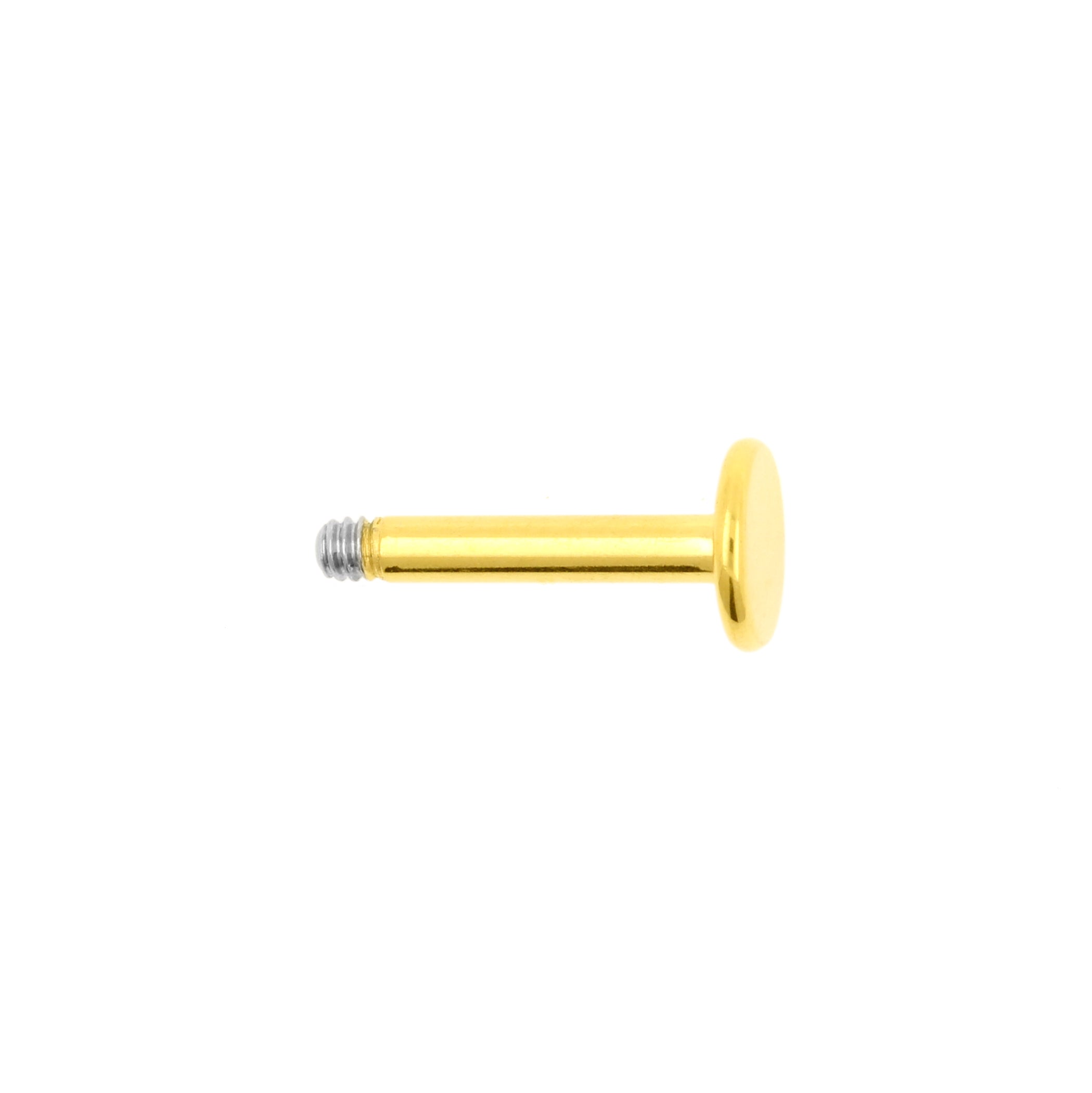 Chirurgisch Stalen Labret Stud Goud