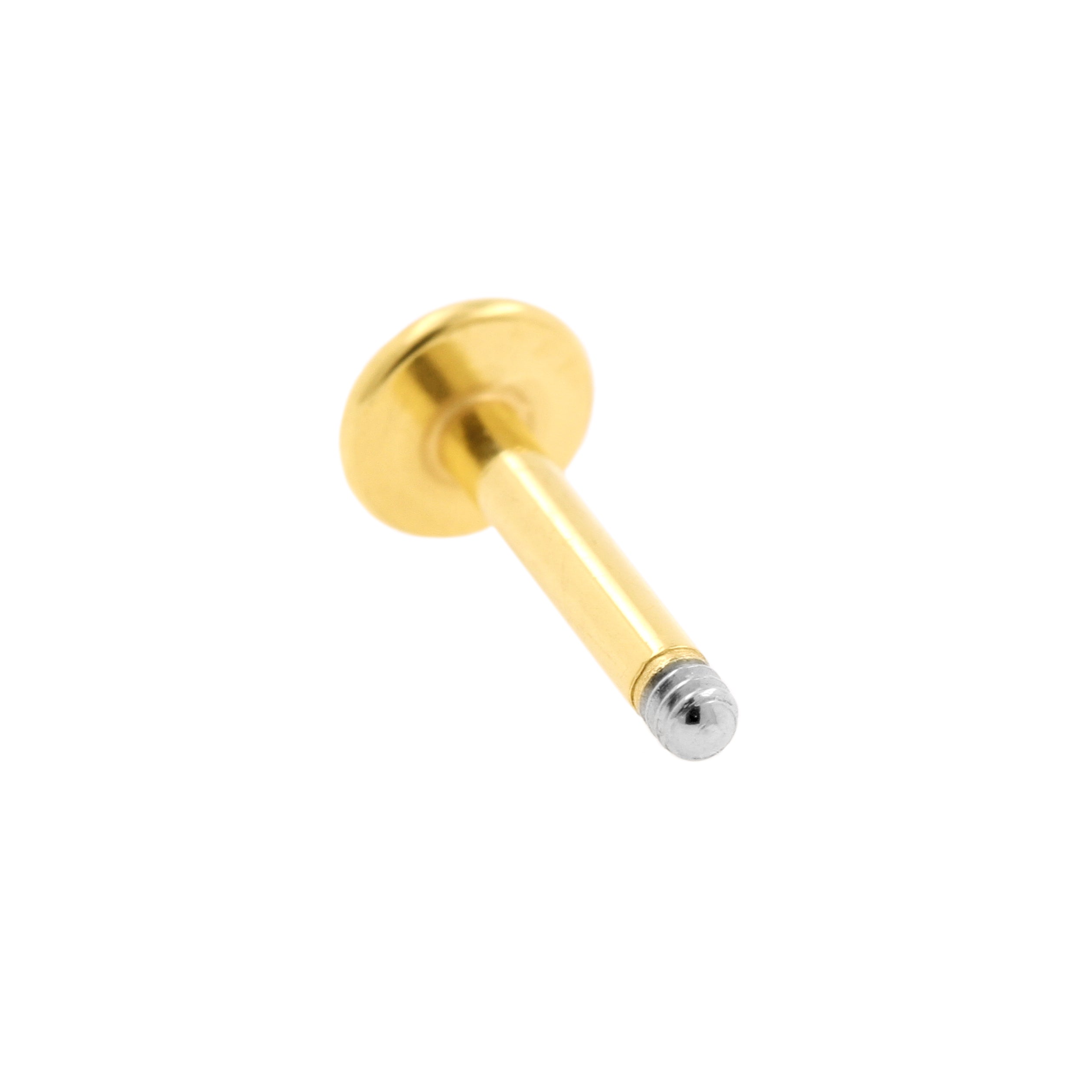 Chirurgisch Stalen Labret Stud Goud