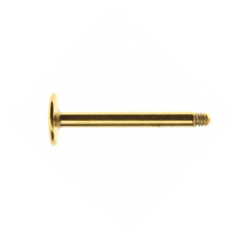 Chirurgisch Stalen Labret Stud - 4 mm Disc Goud