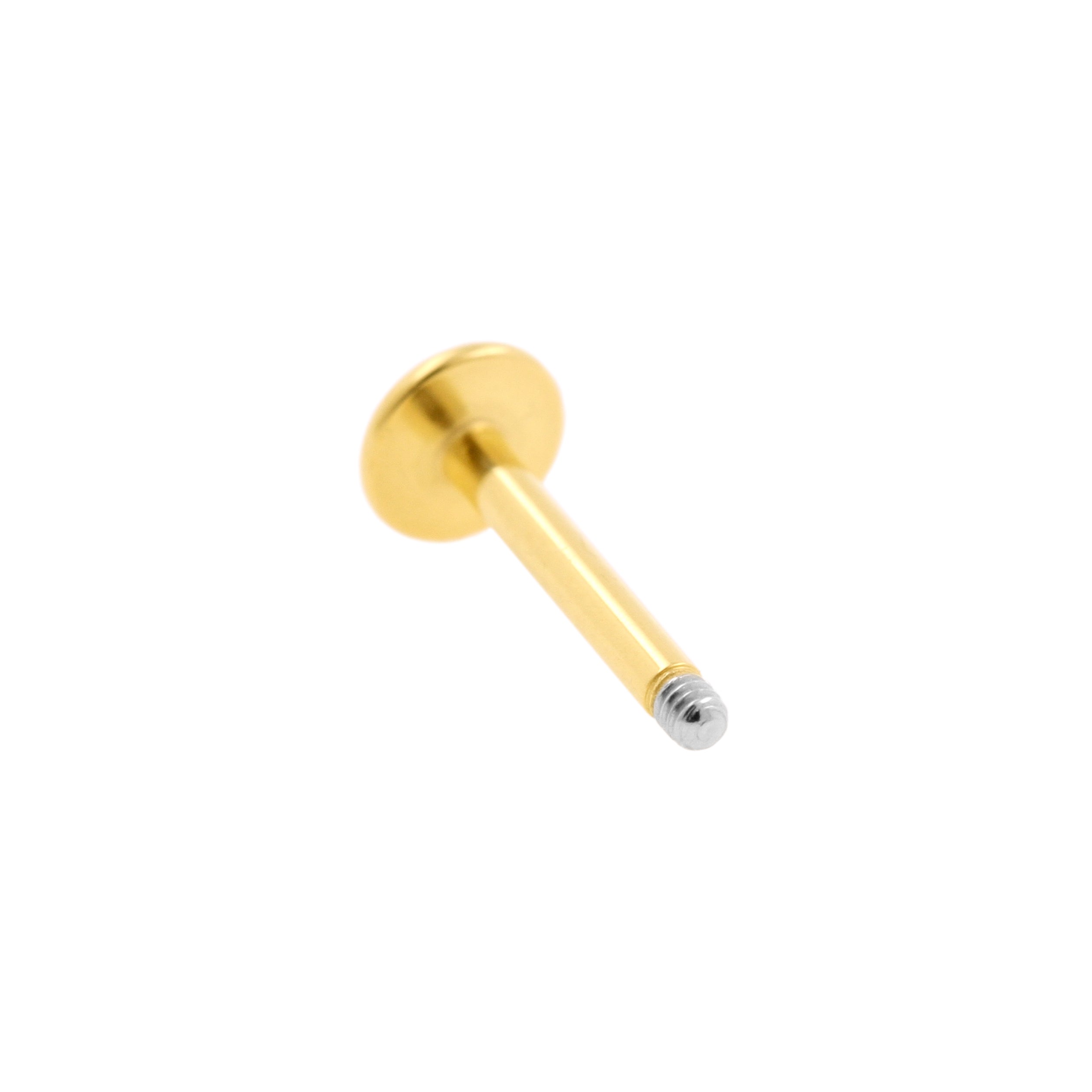 Chirurgischer Stahl Labret Stecker – 4 mm Scheibe Gold