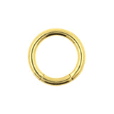 Surgical Steel Click Ring Gold