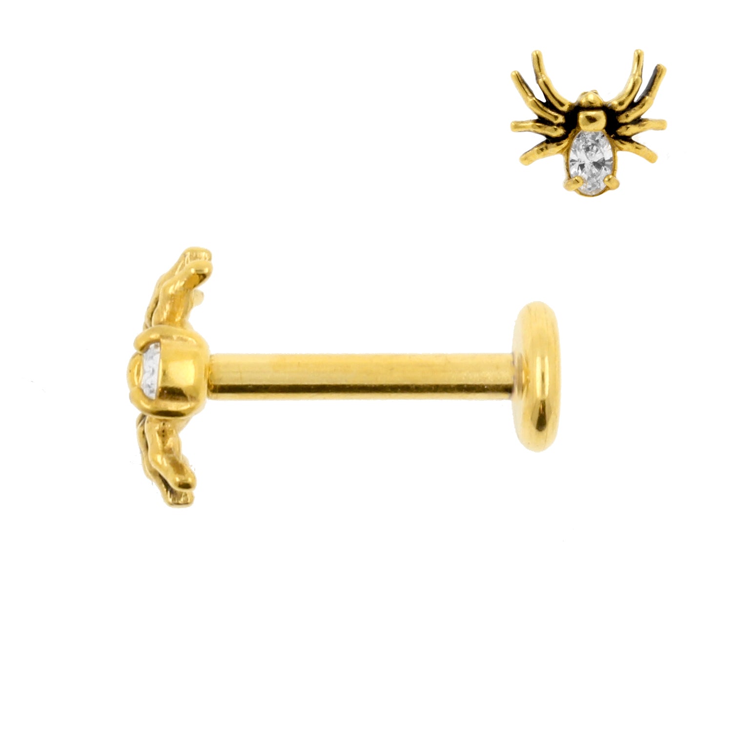 Surgical Steel Zirconia Labret Stud - Spider Gold