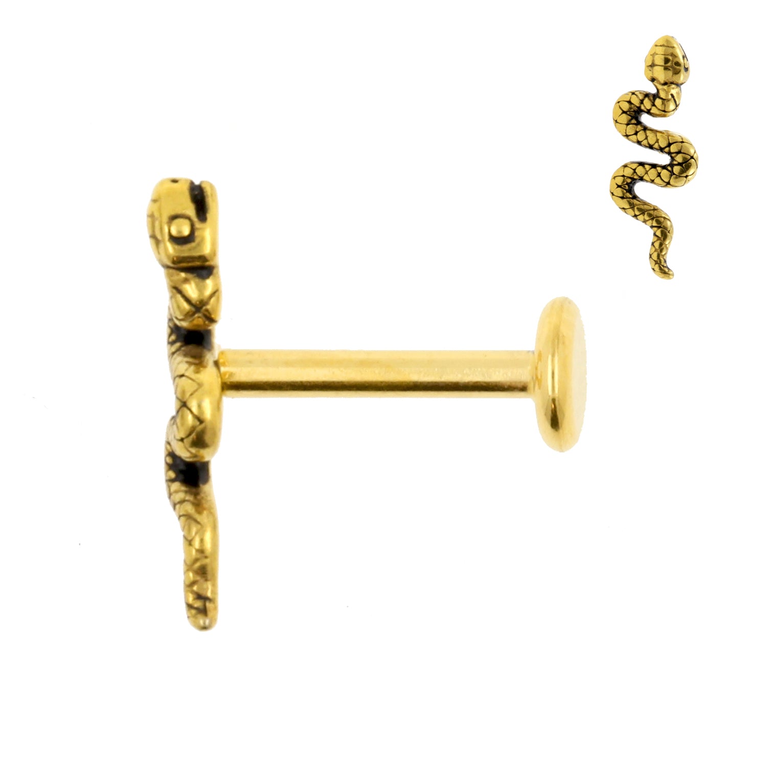 Surgical Steel Labret Stud - Snake Gold