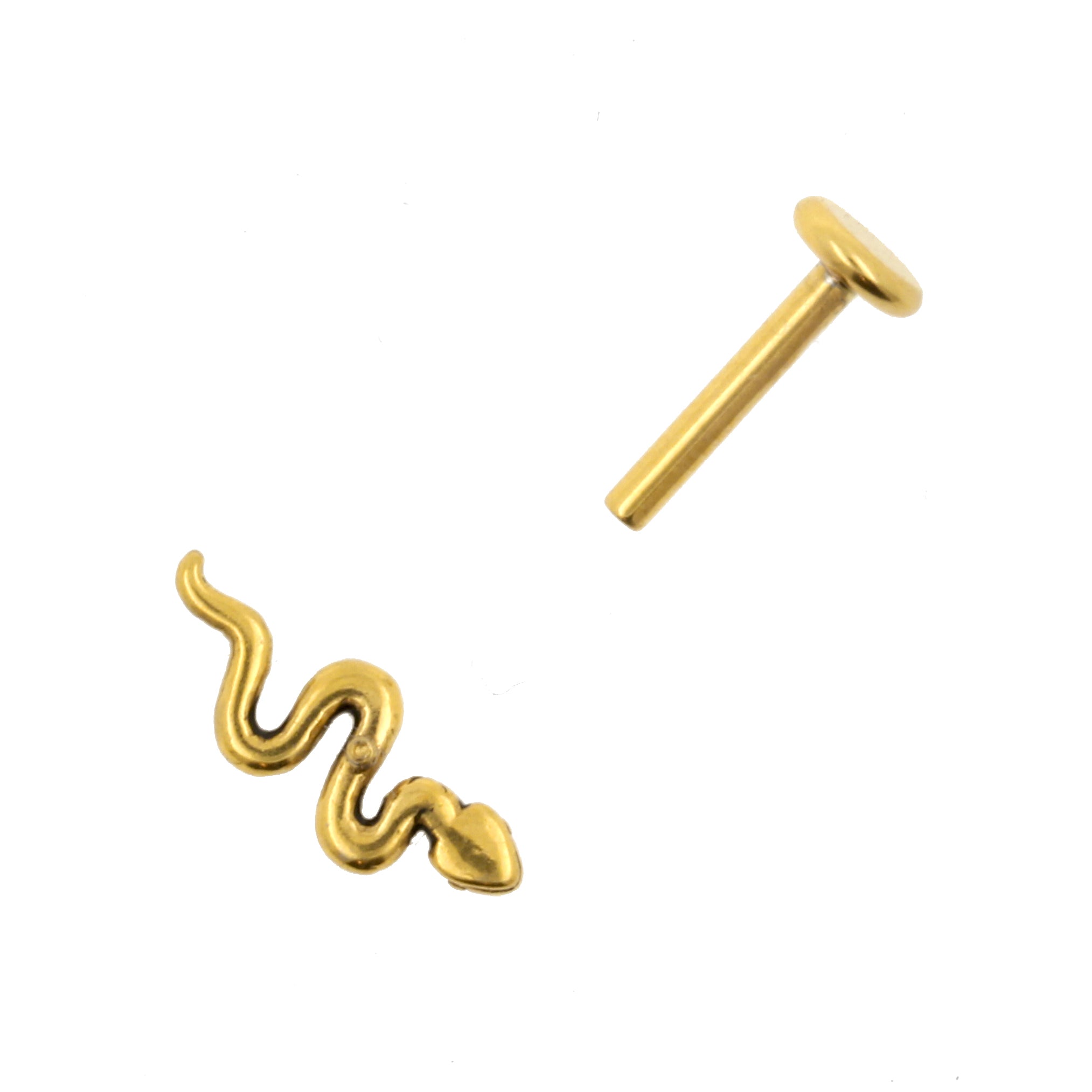 Surgical Steel Labret Stud - Snake Gold