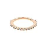 Chirurgisch Stalen Neusring Met Zirkonia Rose Goud