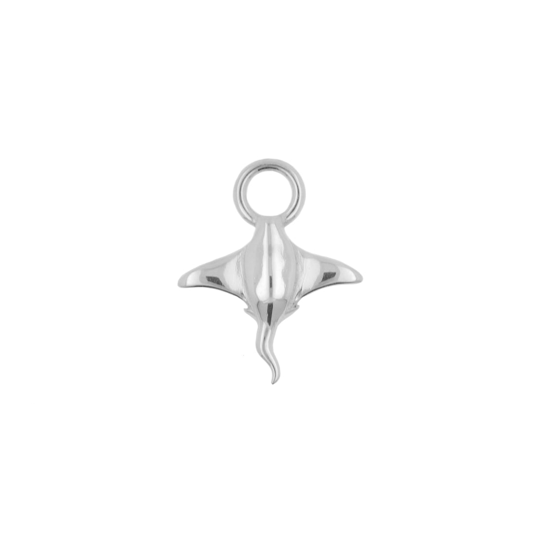 Nickel-Free Stainless Steel Charm - Ray Silver