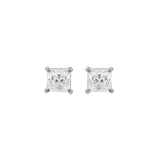 Chirurgischer Stahl Ohrstecker - Princess Zirkonia Silber