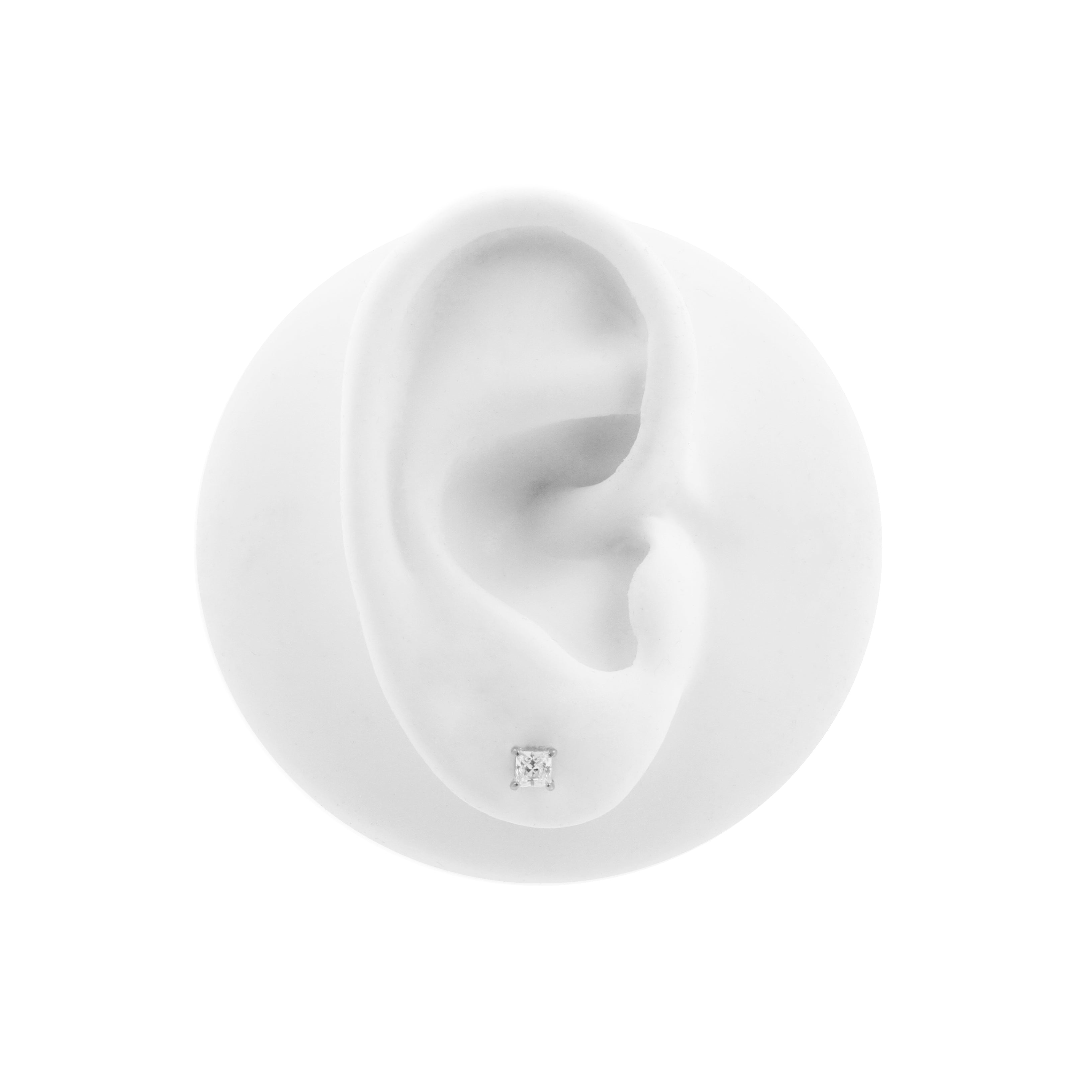 Chirurgisch Staal Oorbel Studs - Princess Zirkonia Zilver