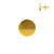 Surgical Steel Ear Studs - Disc Gold