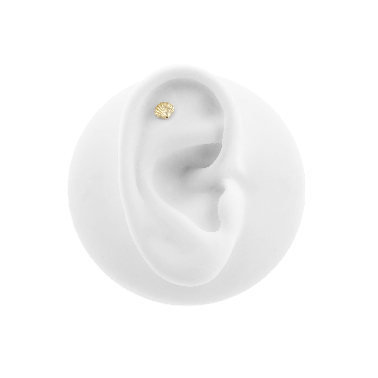 14 Karaats Gouden Schelp