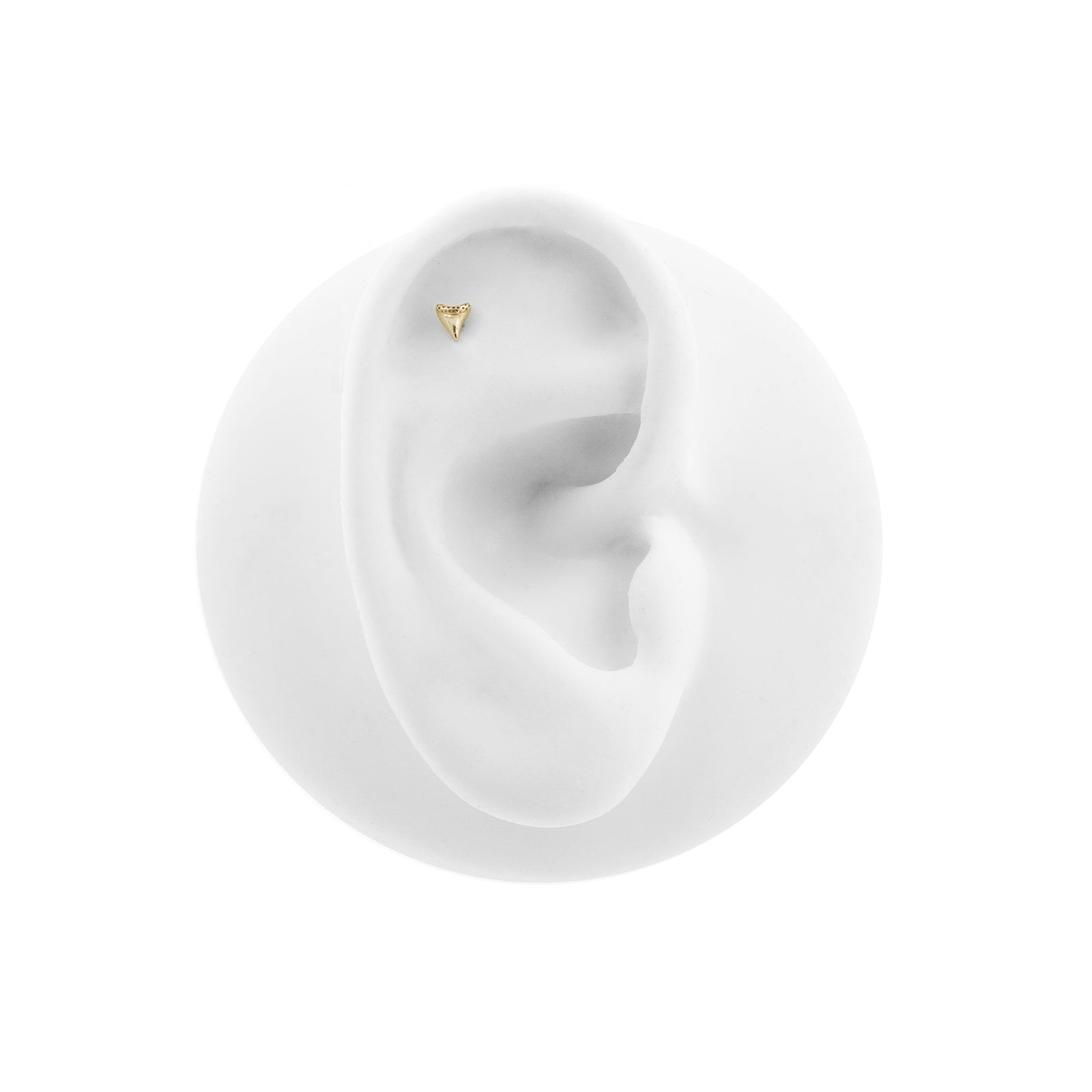 14 Karaats Gouden Haaientand