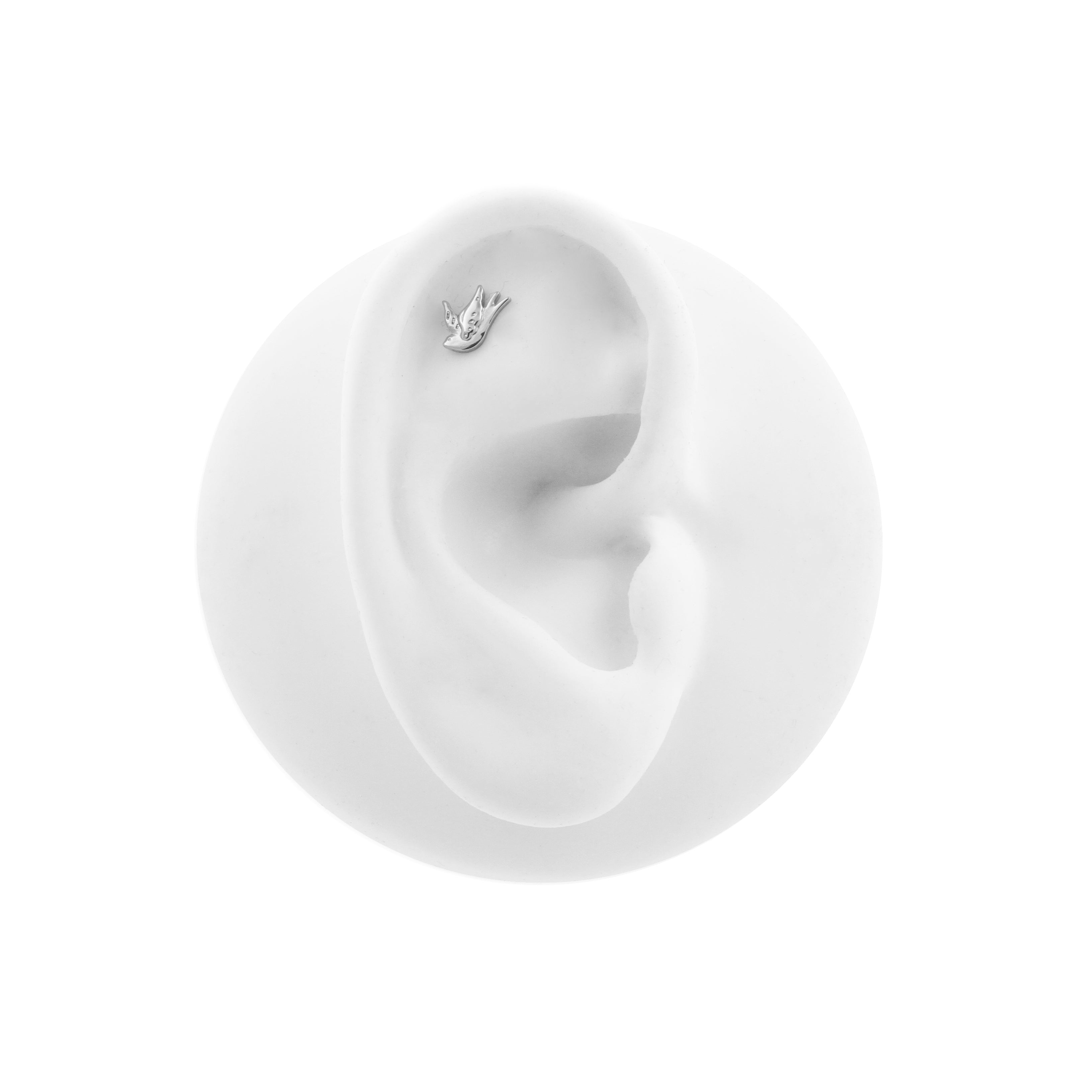 Titanium Swallow - Zilver