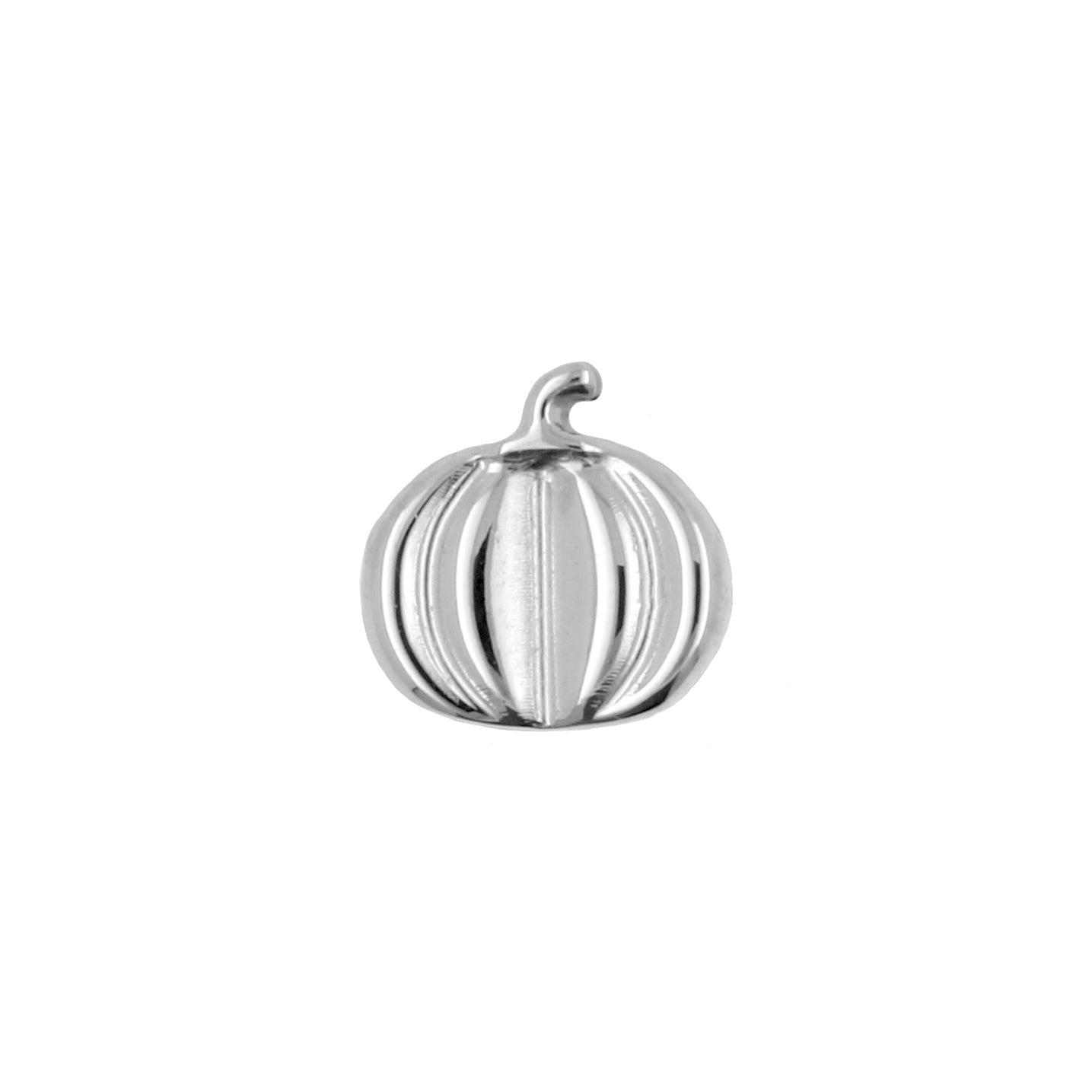 Titanium Pumpkin - Zilver