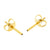 Titanium Ear Studs Gold