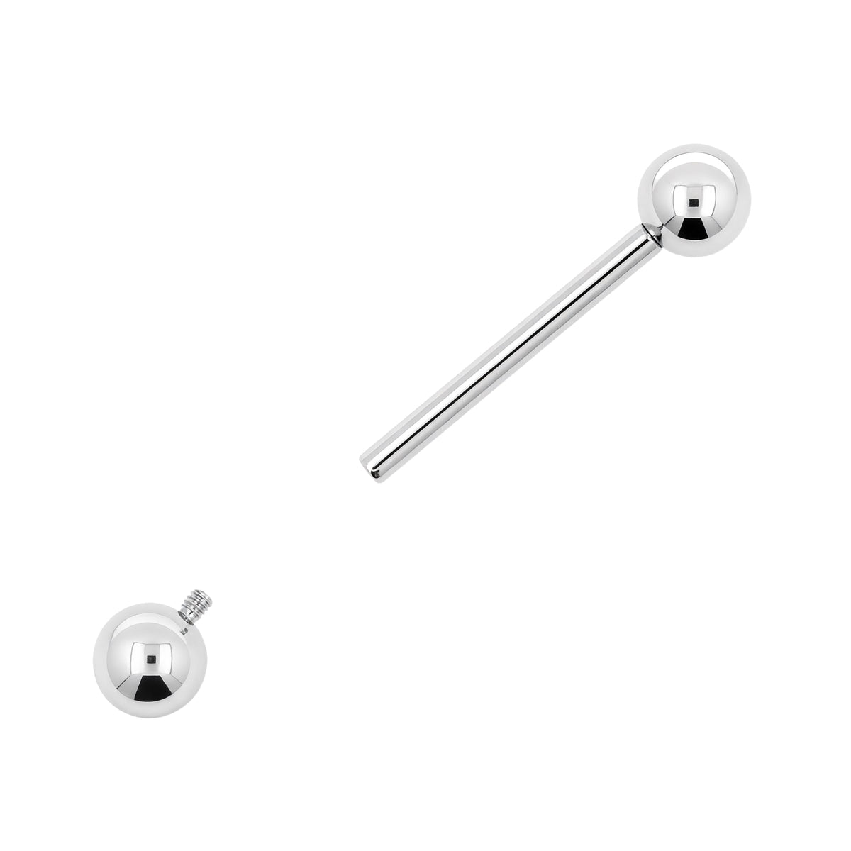Titanium Barbell Zilver