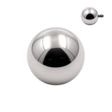 Titanium Balletje Zilver