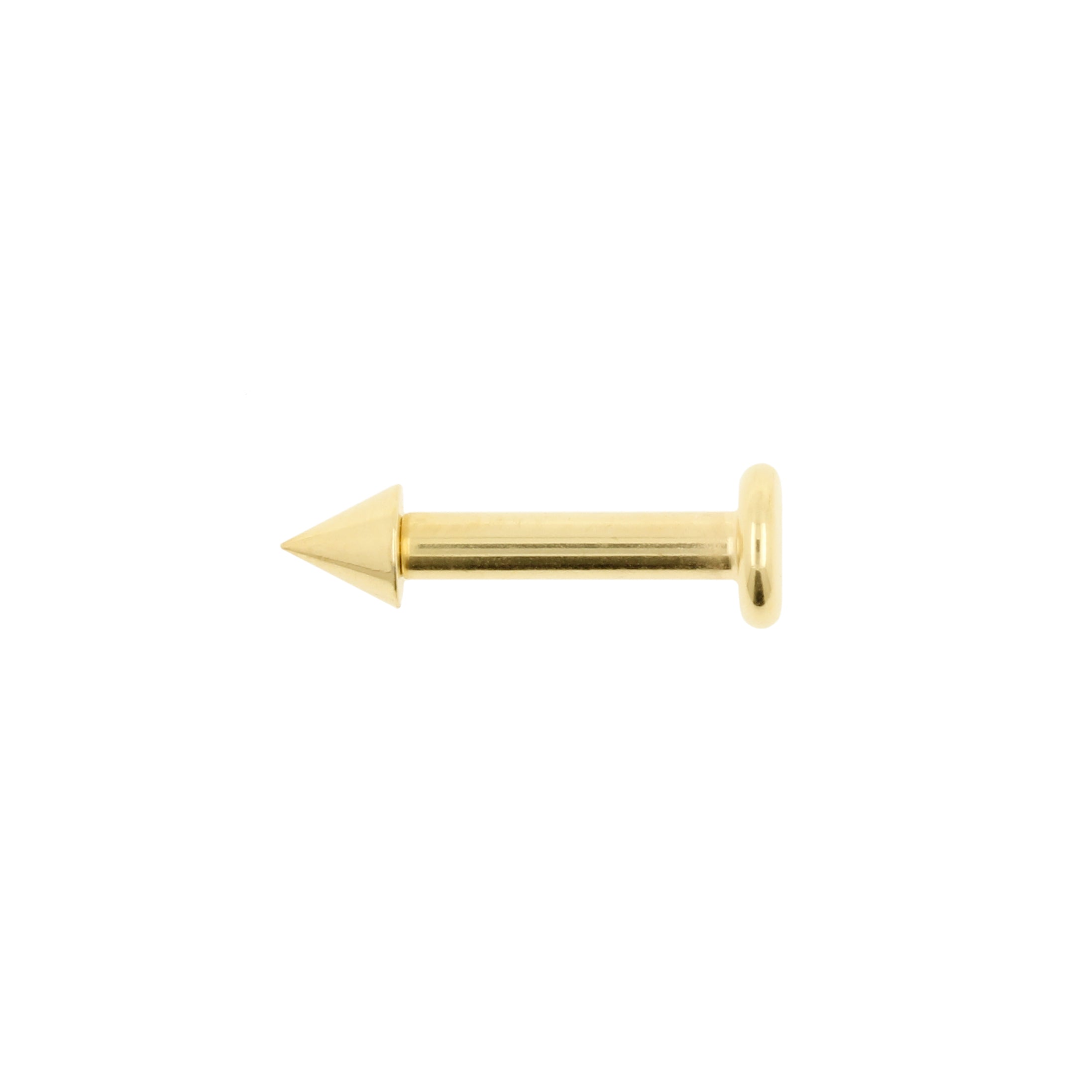 Titanium Flatback Stud Met Spike Goud