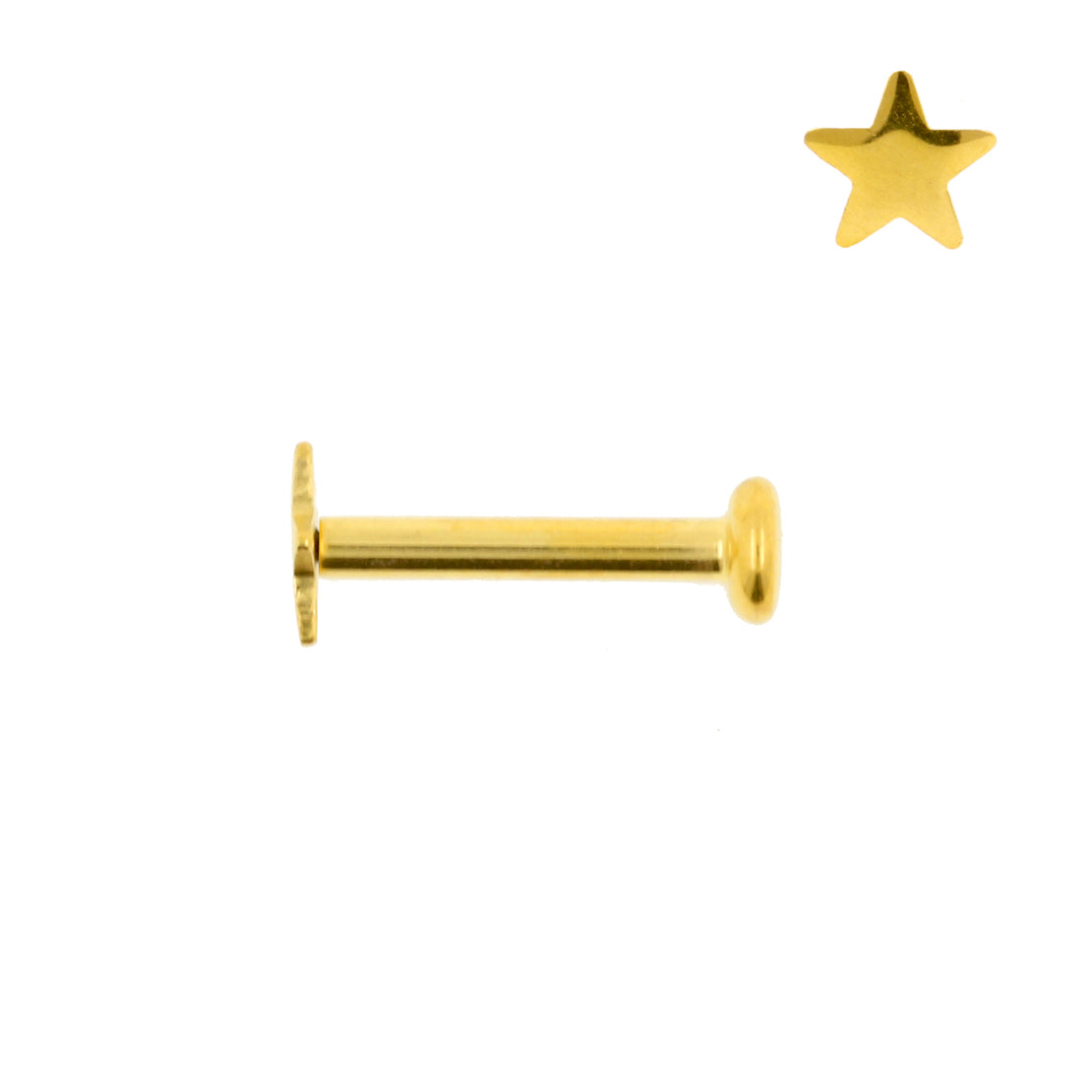 Titanium Labret Stud Met Ster Goud