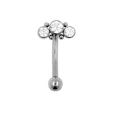 Titanium Zirkonia Cluster Rook Piercing Clear