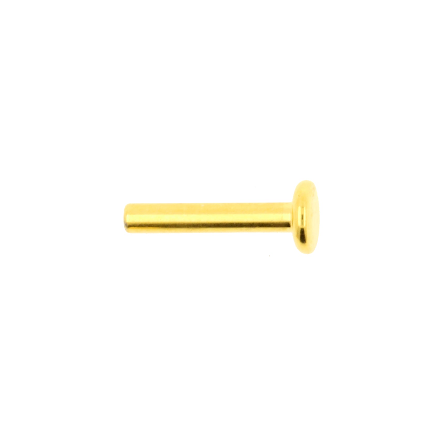 Titanium Labret Stud 4 mm Disc - Gold