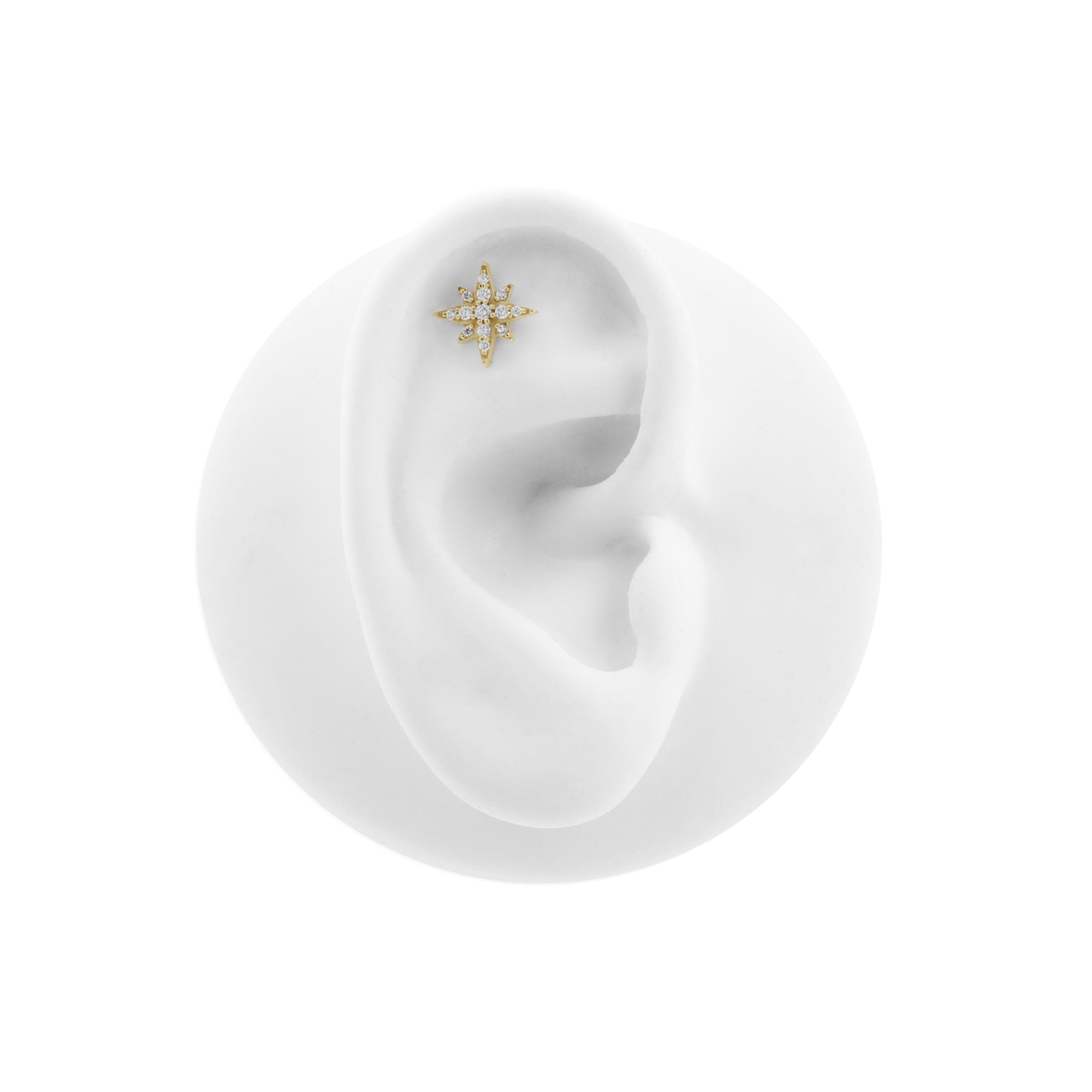 Nikkelvrij Staal - Zirkonia Northern Star - Goud