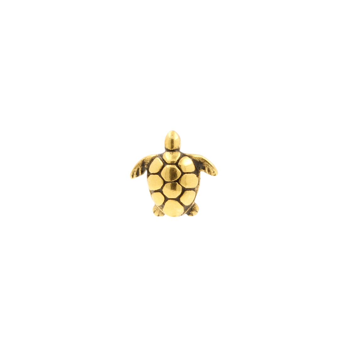 Chirurgisch Stalen Schildpad Top - Goud