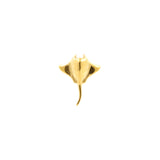 Surgical Steel Ray Top - Gold