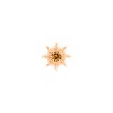 Surgical Steel Sun Top - Rose Gold
