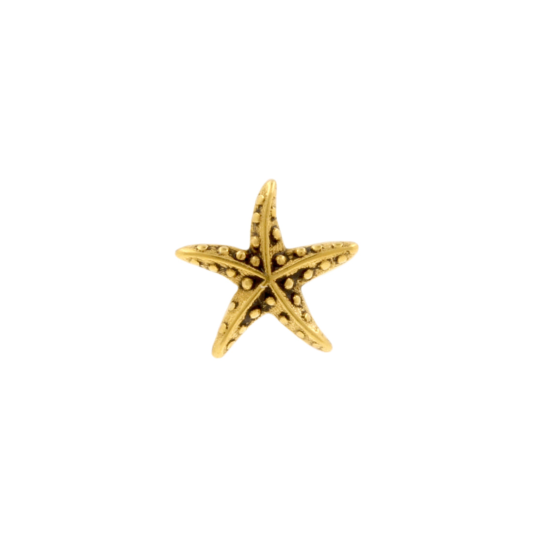 Nikkelvrij Stalen Zeester Goud