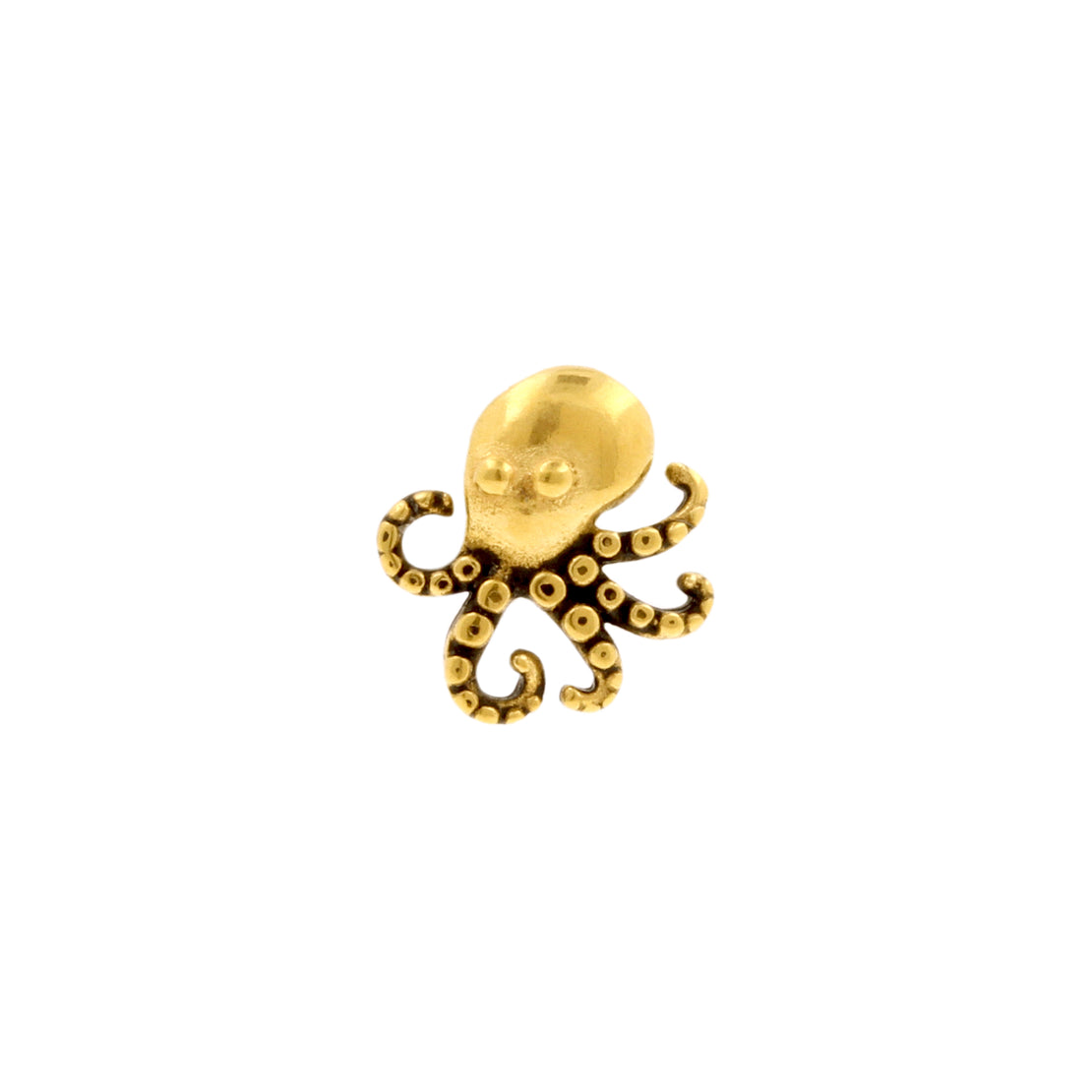 Nikkelvrij Stalen Octopus Goud