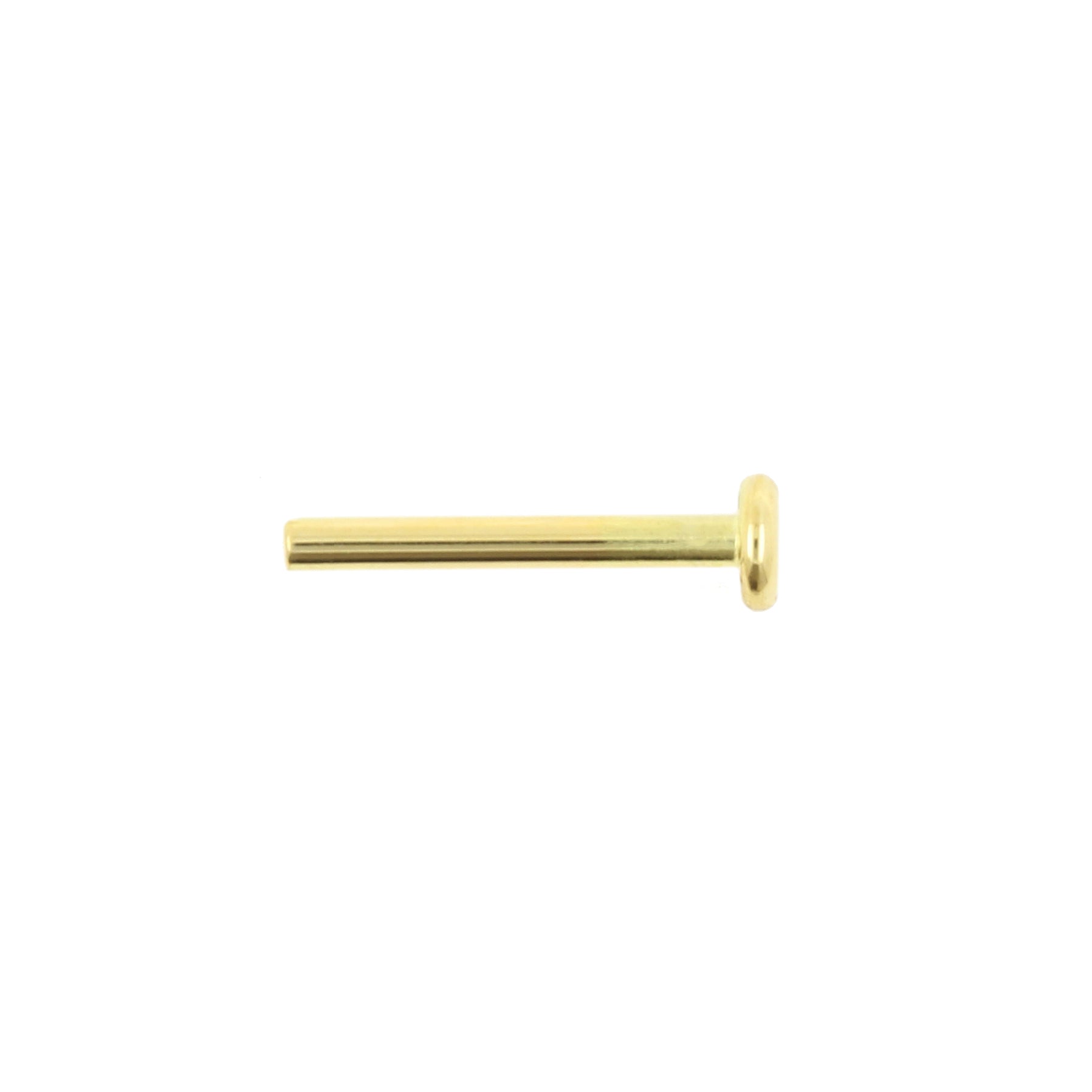 18 Karat Gold Labret Stud