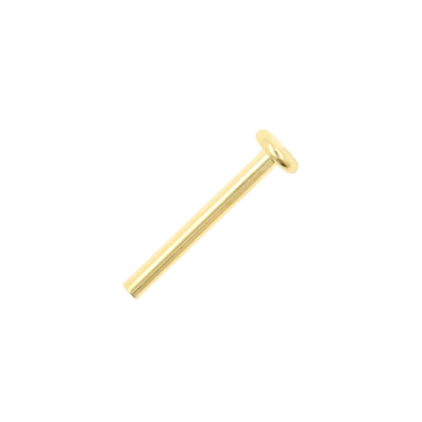 18 Karat Gold Labret Stud