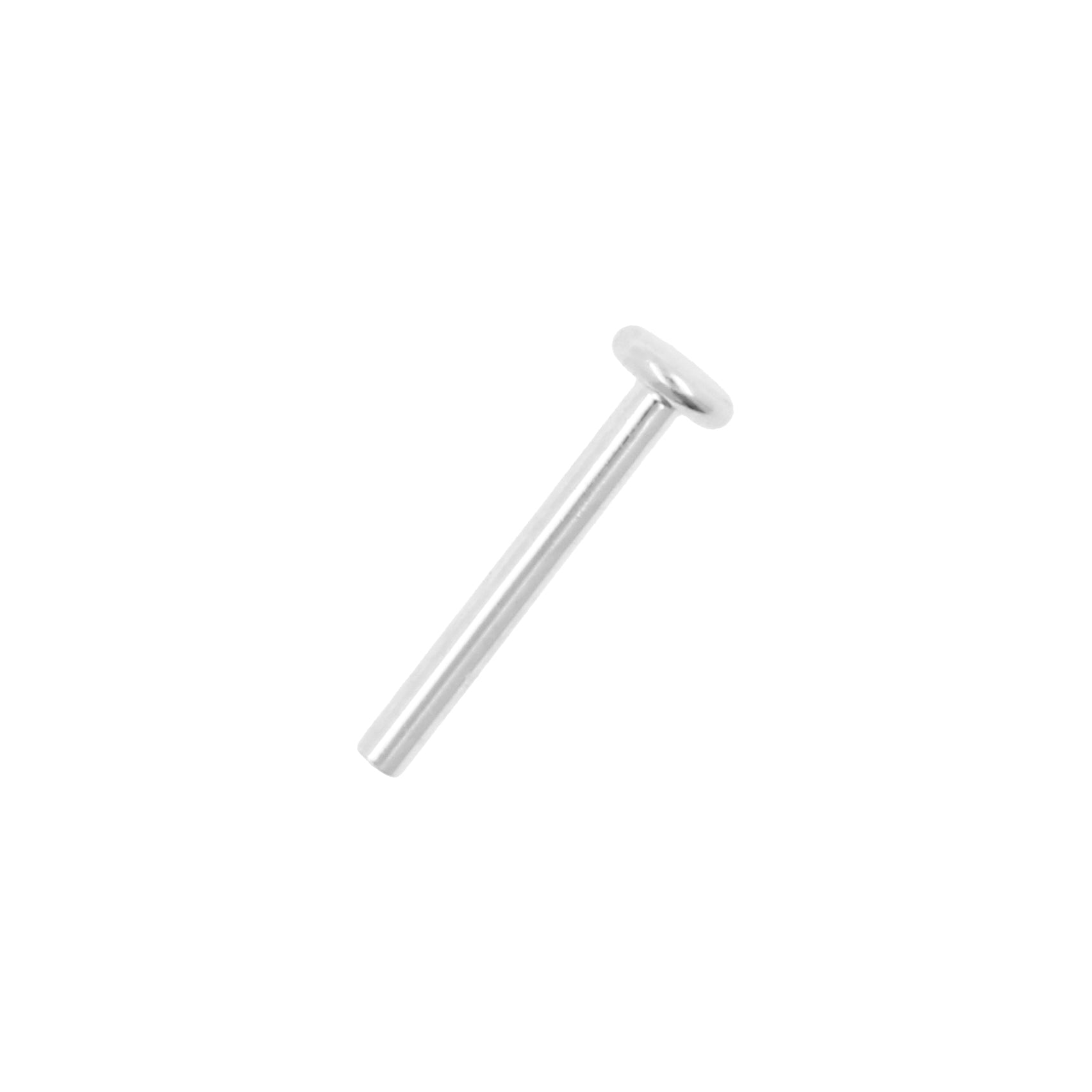 18 Karat White Gold Labret Stud