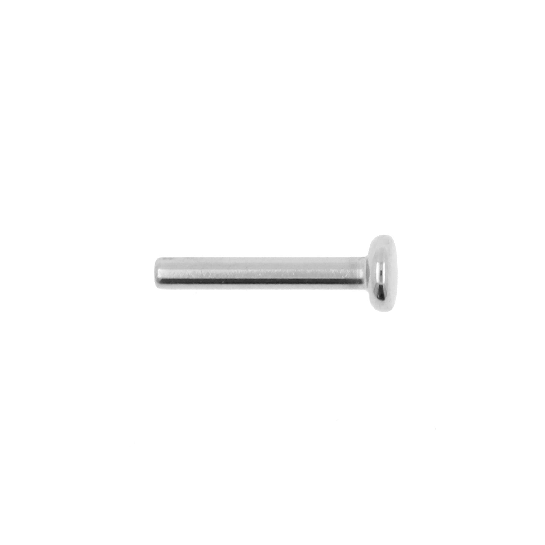 Titanium-Niobium Labret Stud - Zilver