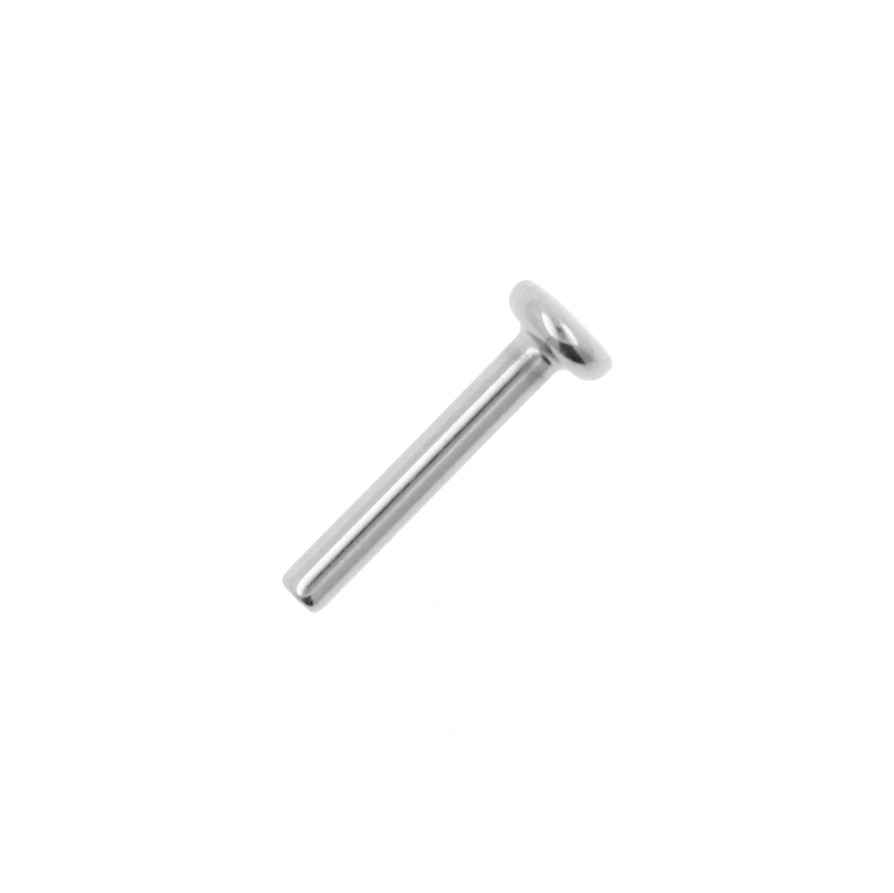 Titanium-Niobium Labret Stud - Zilver