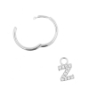 Alphabet Letter Earring - Z